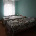 Pri Bricu *