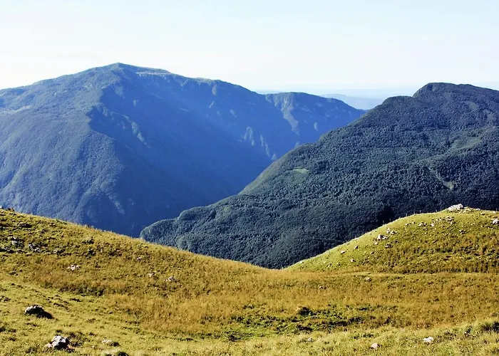 Pri Bricu * קובאריד